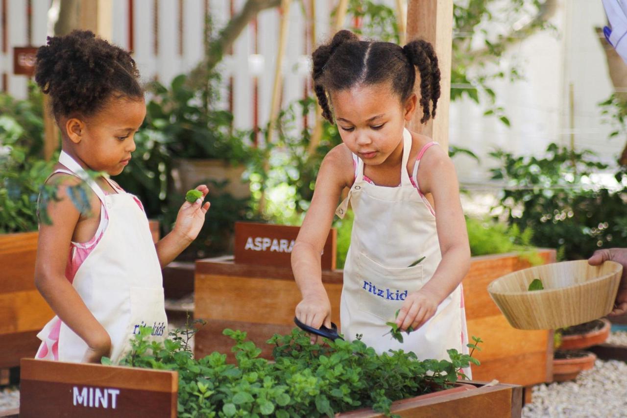 多哈丽思卡尔顿酒店 外观 照片 Children working in a garden