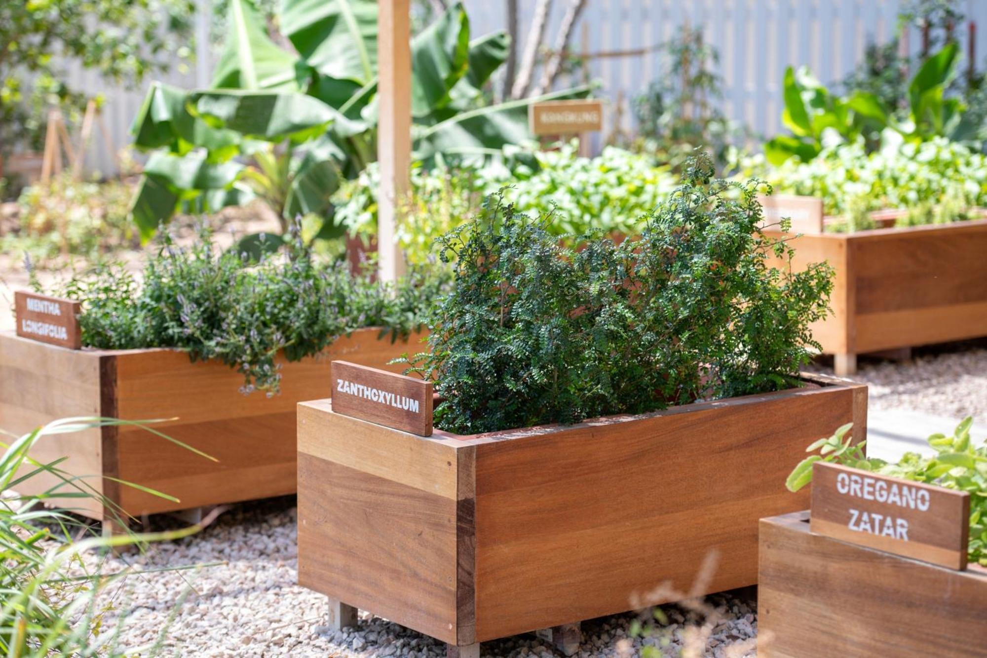 多哈丽思卡尔顿酒店 外观 照片 Raised beds in a garden