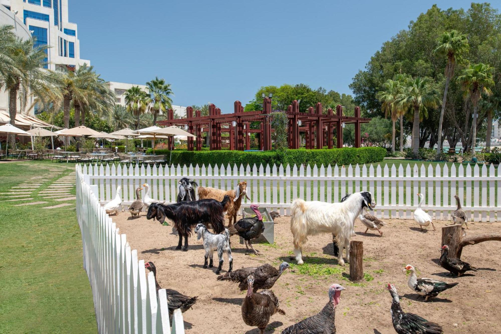 多哈丽思卡尔顿酒店 外观 照片 The farm at the resort
